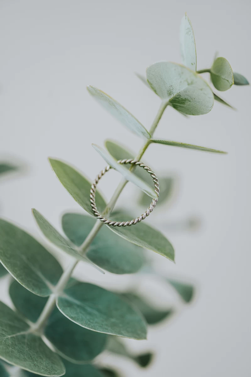 Nolita Arany Gyűrű